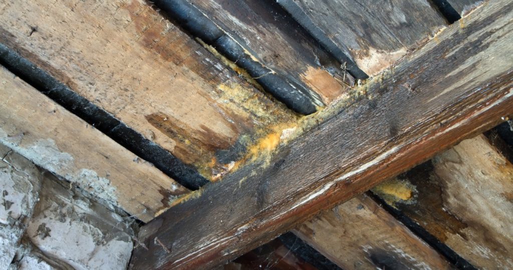 Deck ledger board connection to house being inspected after winter