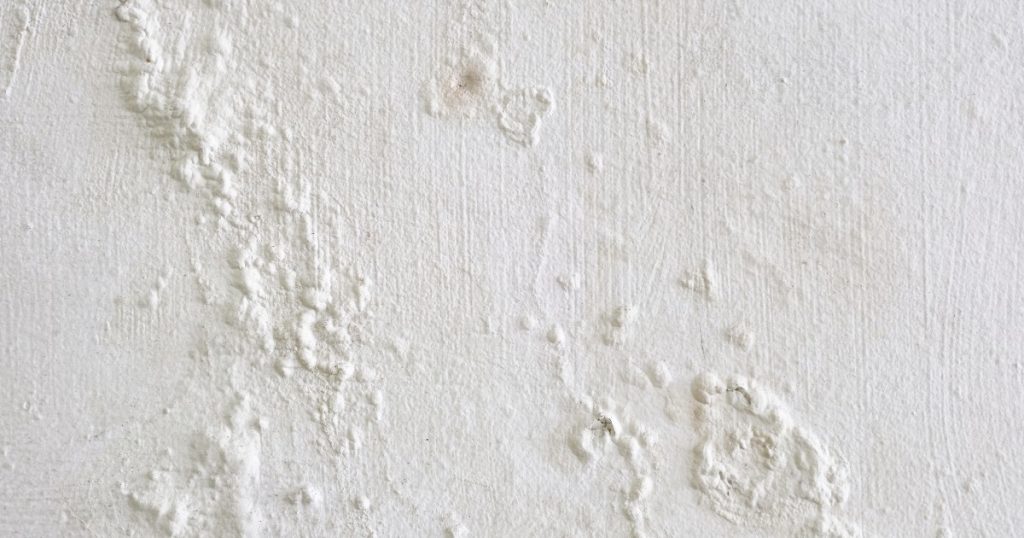 Exterior paint bubbling due to moisture or heat exposure