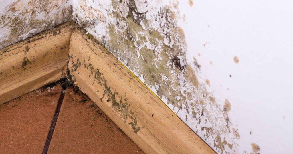 Damp corner of a room with signs of moisture buildup