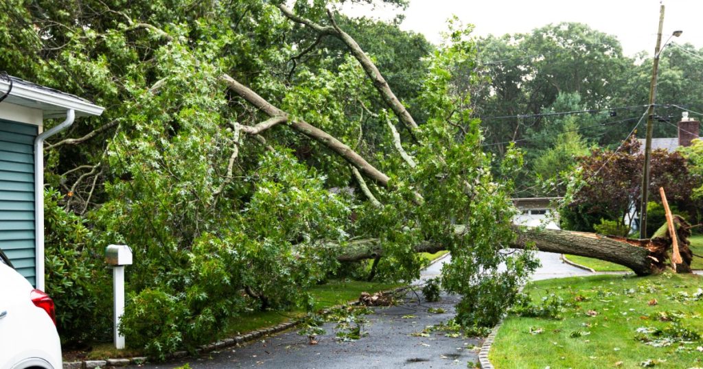 Fallen tree limb leaning against house after spring storm — storm damage repair Pittsburgh.