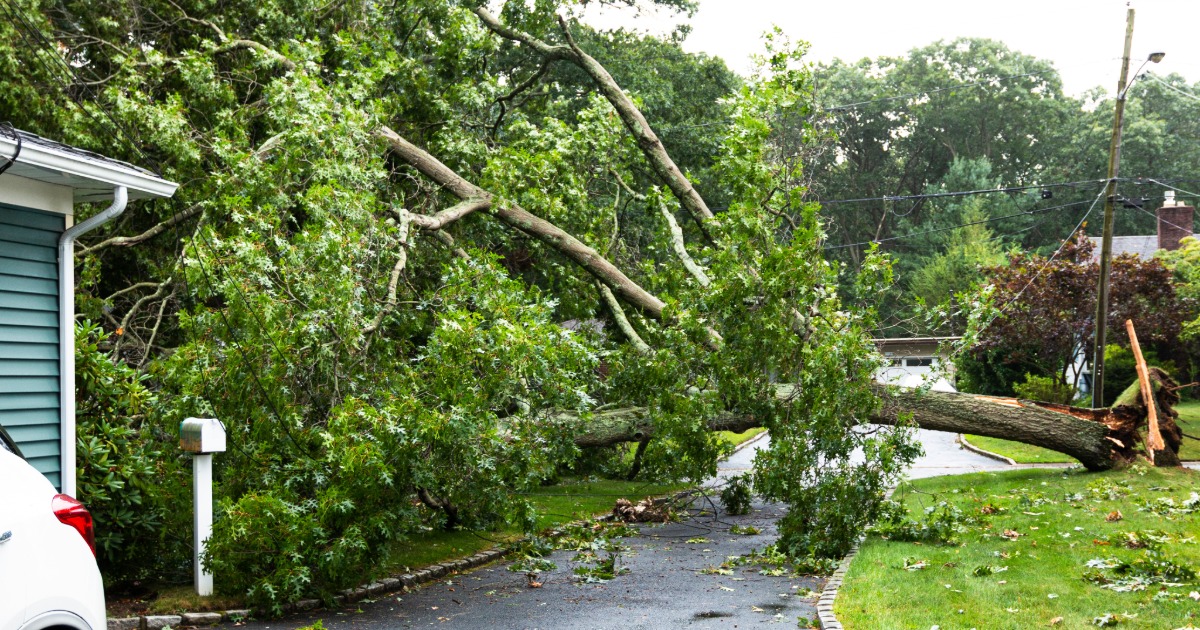 Fallen tree limb leaning against house after spring storm — storm damage repair Pittsburgh.