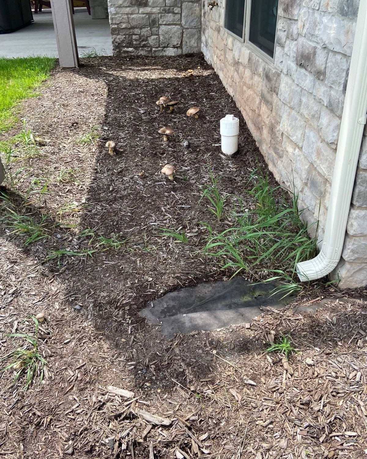 Bare planting bed before landscaping improvements