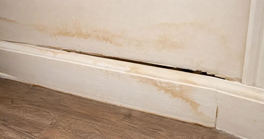 Water-stained baseboard pulling away from a wall near the floor